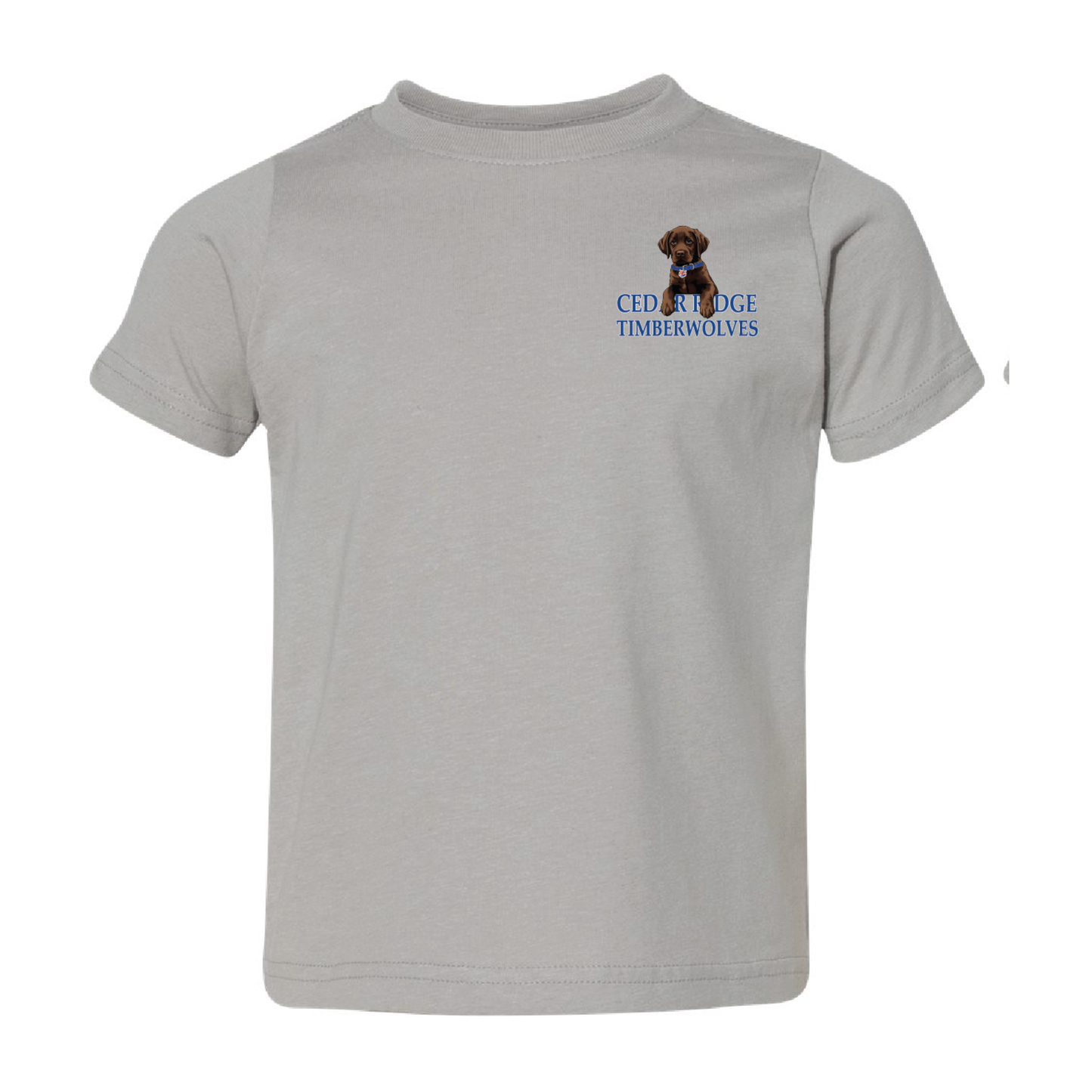 CR -  Toddler Game Day Buddy Tee