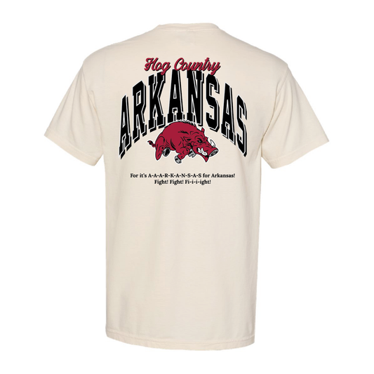 AR - Fight Song Pocket Tee